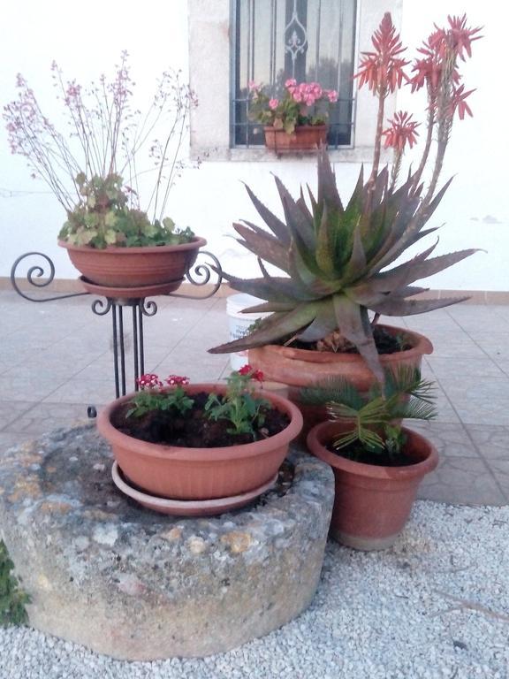 Ferienwohnung Trulli Sarmenzanello Noci Exterior foto